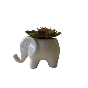 White Elephant Succulent Arrangement Home Decor
